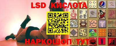 гидропоника Донецк