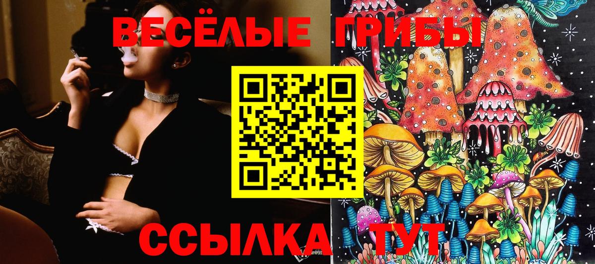 Псилоцибиновые грибы Psilocybine cubensis Малгобек