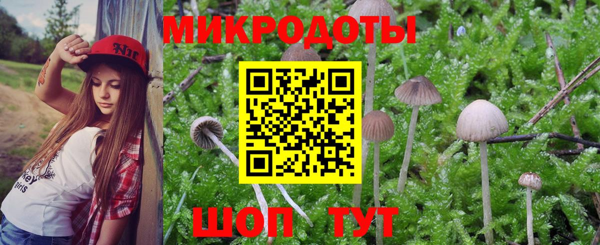 Псилоцибиновые грибы MAGIC MUSHROOMS  Вход с VPN  где купить наркоту  Малгобек 